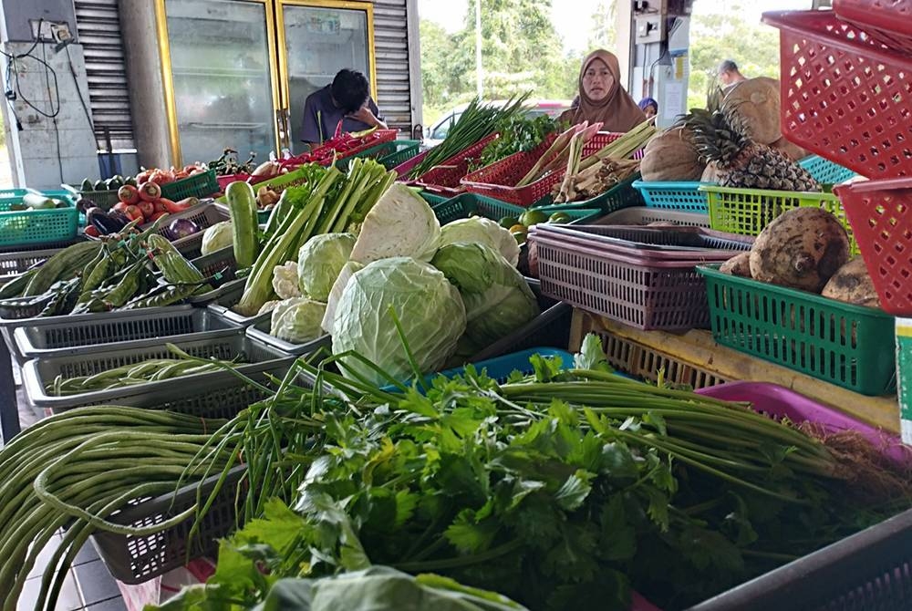 Kenaikan harga beberapa jenis sayur-sayuran berikutan kekurangan bekalan susulan banjir melanda di Kelantan.