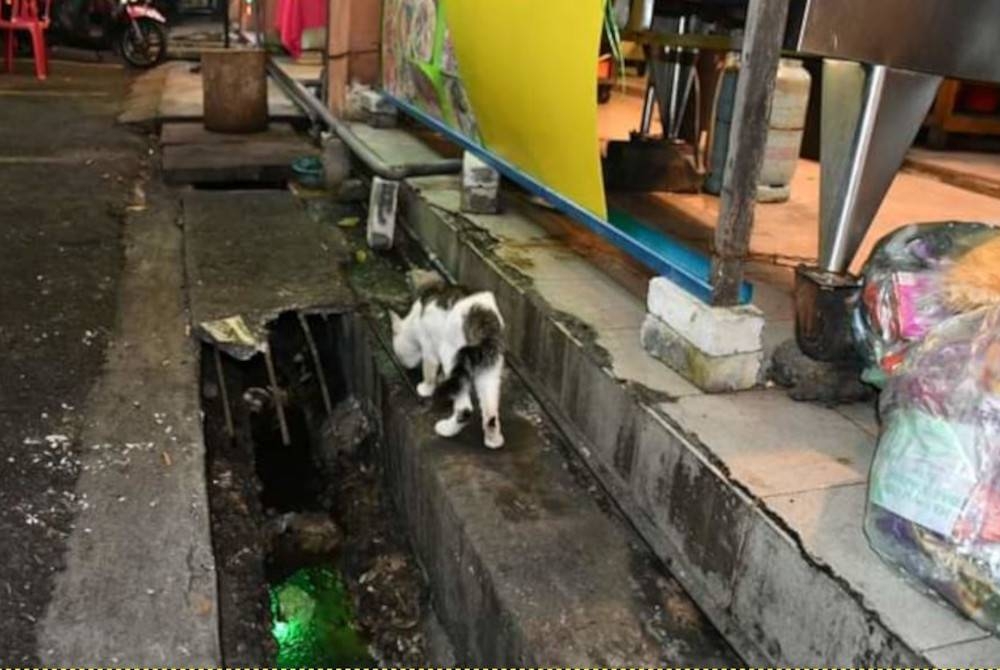 Keadaan salah sebuah premis yang kotor semasa pemeriksaan menerusi Operasi Tomyam dan Premis Makanan Waktu Malam baru-baru ini.