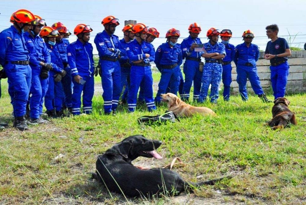 Tar (kiri) diberi 'cuti rehat' selepas misi operasi SAR tragedi tanah runtuh di tapak perkhemahan Father's Organic Farm