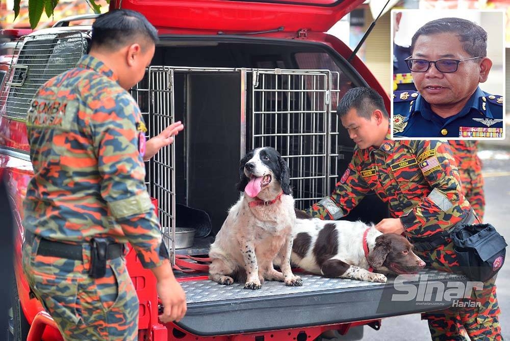 Unit K9 bomba antara elemen yang terlibat dalam siasatan kes kebakaran di Wisma Jakel, Shah Alam. - Foto Sinar Harian/ Rosli Talib (Gambar kecil: Norazam)