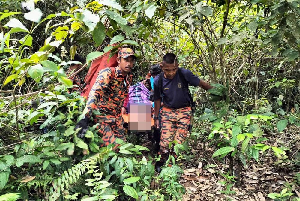 Anggota bomba membawa keluar mangsa dengan menggunakan pengusung selepas ditemui dalam keadaan lemah di kaki Bukit Naga, Trong, Taiping. Foto:Ihsan JBPM Perak