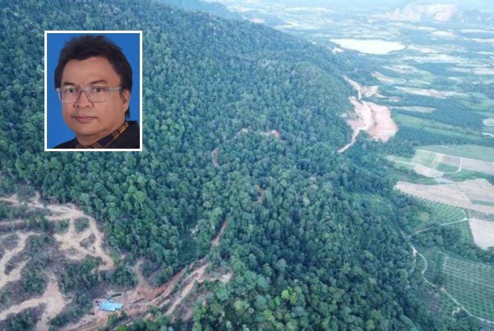 PHM membantah sekeras-kerasnya rancangan projek ladang kayu hutan di Hutan Simpan Kledang Saiong. Gambar kecil: Zabri