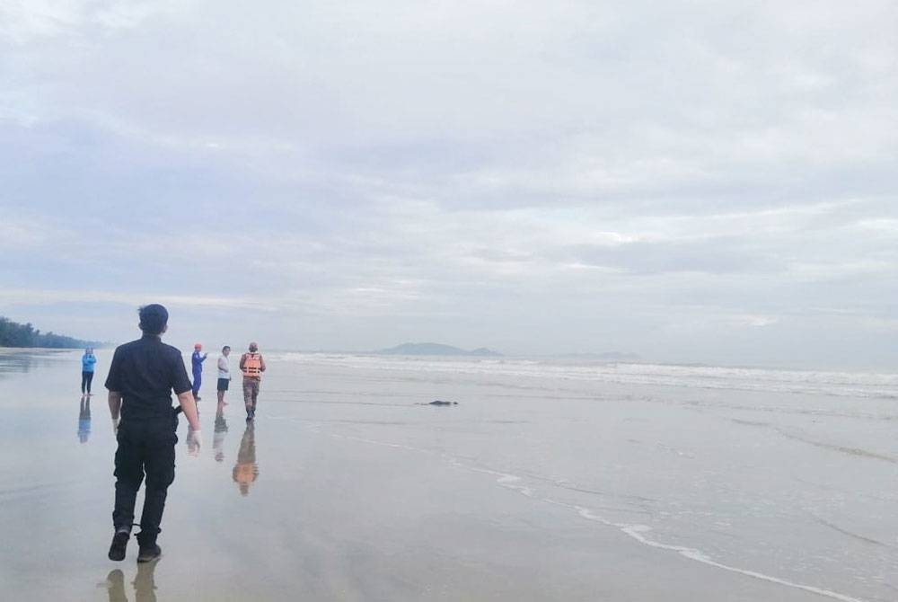 Ahmad Saifuddin menunjukkan mayat mangsa terdampar di Pantai Cherating pada pagi Ahad kepada pihak polis.