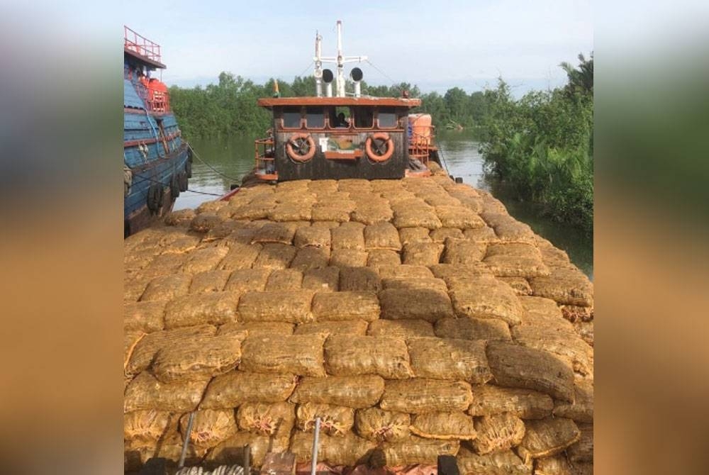 Kapal dagang dari Indonesia membawa kelapa kering yang mengandungi serangga perosak ditahan Maqis di Jeti Batu Pahat.