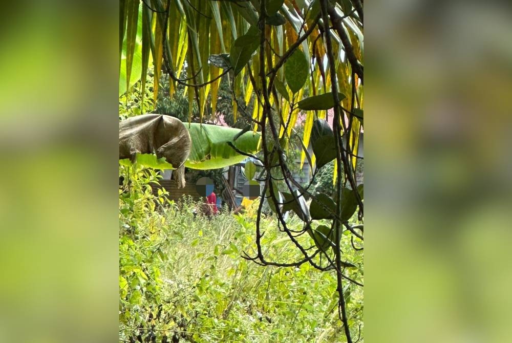 Antara individu ditahan dalam Ops Tapis dilakukan Polis Kota Setar di sekitar Pokok Sena dan Kepala Batas pada Selasa.