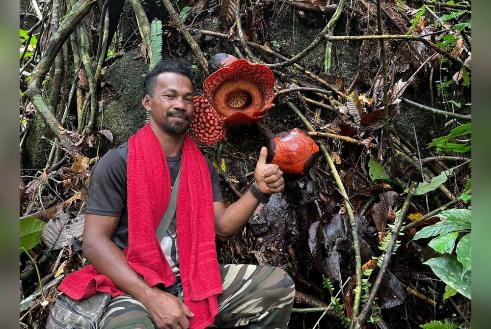 Masyarakat Orang Asli suku Semaq Beri dari Sungai Berua, Sahak Samad bersama bunga pakma di Hutan Simpan Tembat di Hulu Terengganu. Foto: Ihsan Suzairi Zakaria