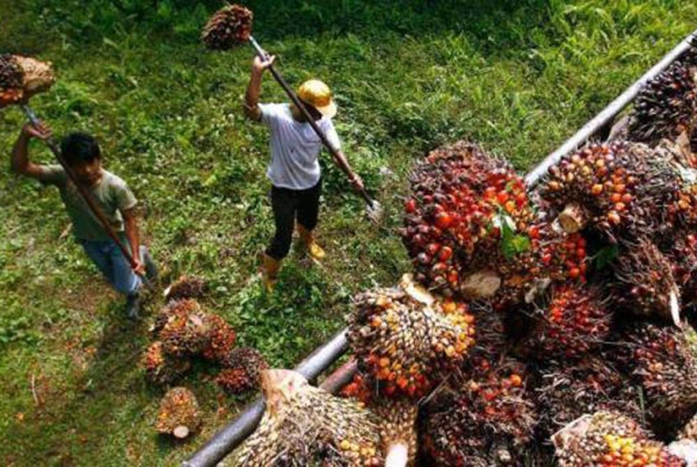 Sekurang-kurangnya 500,000 pekerja asing dijangka dibawa masuk ke Malaysia tahun ini. Foto hiasan