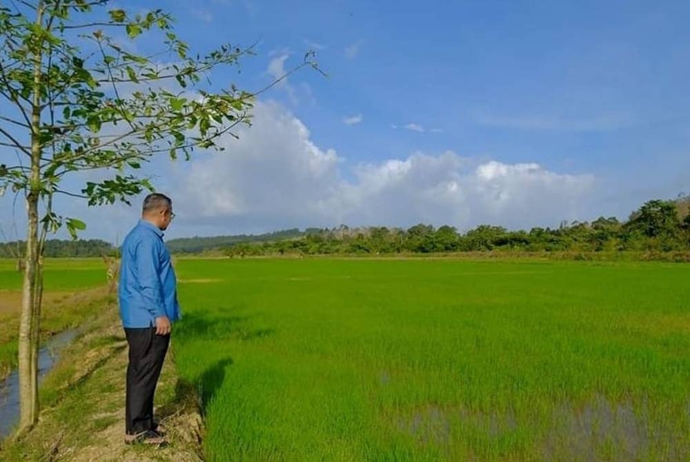 Terengganu tidak mampu melaksanakan program peningkatan hasil pengeluaran padi melalui penanaman lima kali dalam tempoh dua tahun seperti negeri lain kerana halangan Monsun Timur Laut (MTL).