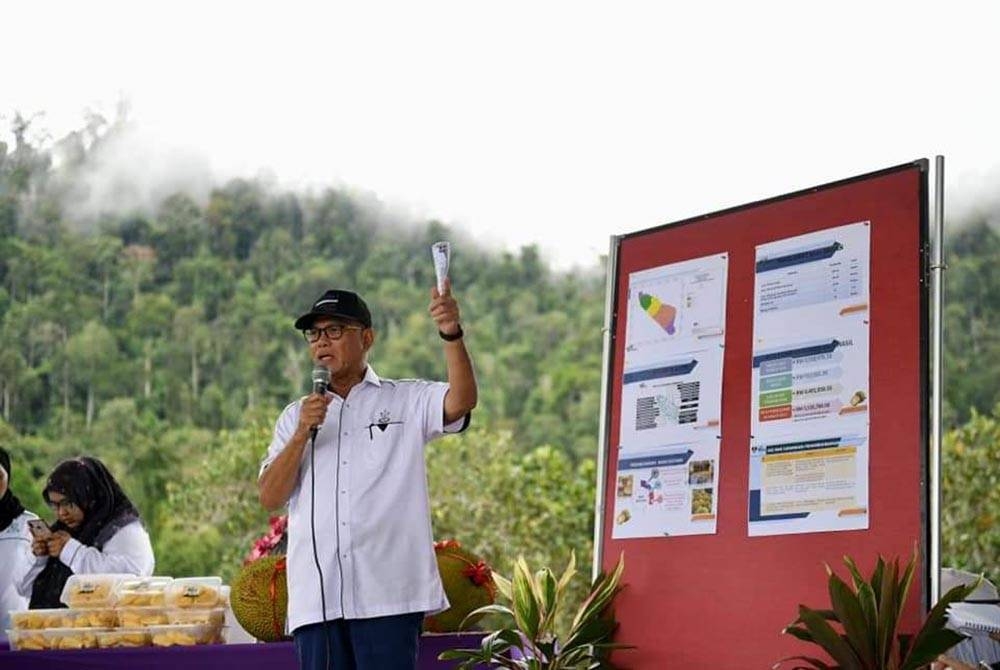 Wan Rosdy mengadakan melawat ke TKPM Jelai untuk melihat sendiri perkembangan projek tanaman nangka madu di kawasan itu pada Sabtu.