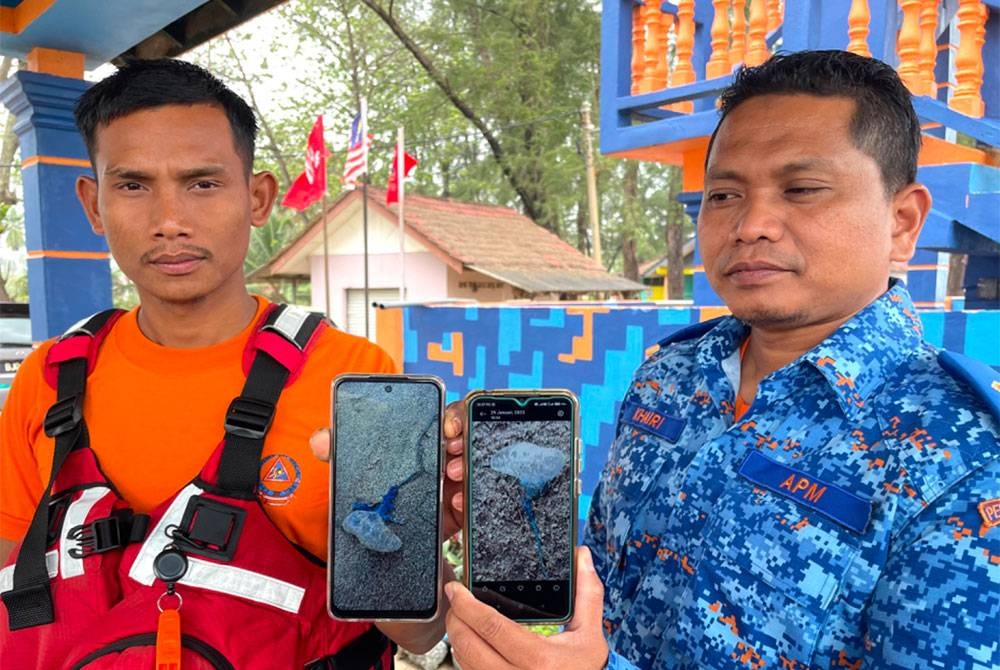 Mohd Khairi (kanan) dan anggotanya menunjukkan gambar bangkai obor-obor yang dijumpai di persisir pantai.