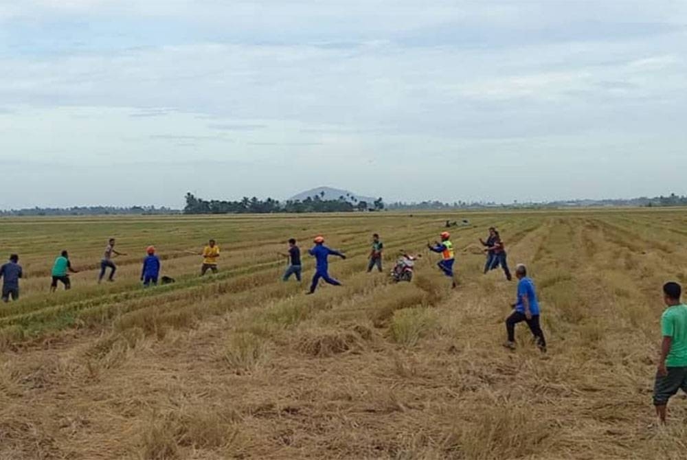 Anggota APM, Rela dan orang kampung serta pelbagai agensi lain dilihat cuba mengepung beruang matahari sebelum ditangkap Perhilitan di Kampung Kabu Sepuluh, Selengkoh Tengah, Yan Kedah. - Foto: APM