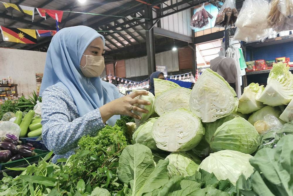 Timun, sawi, tomato dan kubis antara sayur-sayuran yang dikesan mengalami kenaikan harga. - Gambar hiasan.