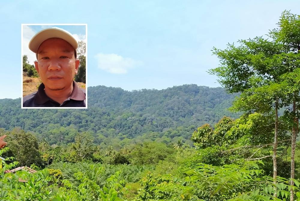 Hutan Simpan Bukit Enggang di Sik yang dipercayai mempunyai unsur nadir bumi (REE) bernilai tinggi. Gambar kecil: Muhamad