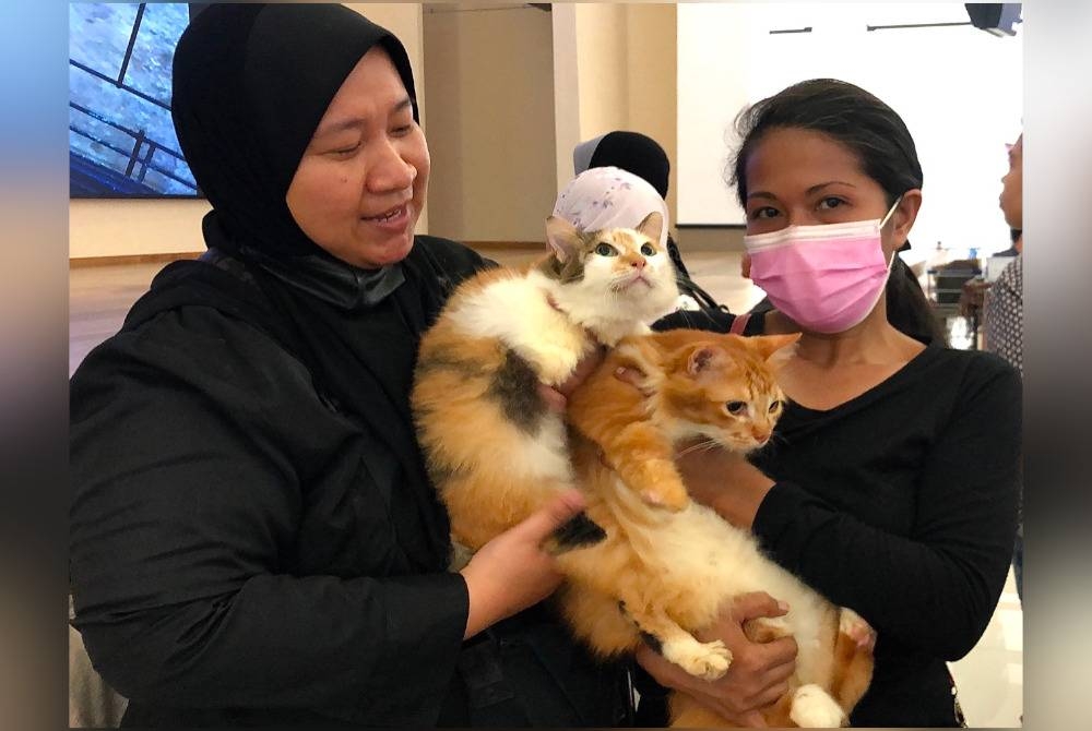 Farahwaheda (kiri) bersama kucing-kucing kesayangannya, Leon dan Poo.