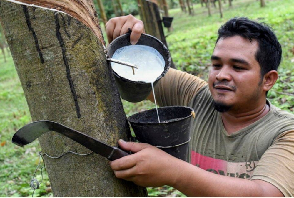 Gambar hiasan - Foto Bernama