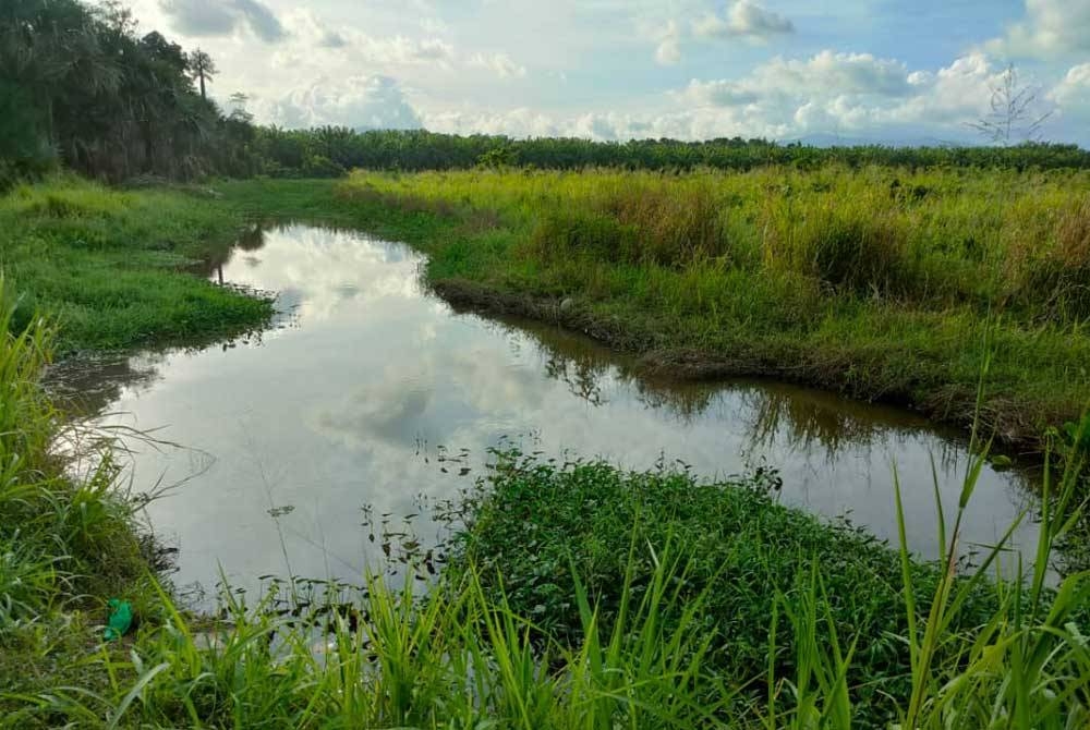 Lokasi kedua-dua mangsa nyaris lemas dalam kejadian di Jalan Radu, Kota Marudu.