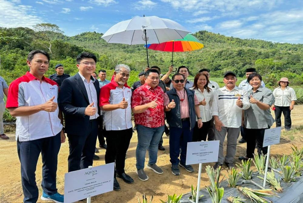 Dr Jeffrey G Kitingan (empat dari kanan) dan Tengku Ahmad Badli Shah (tiga dari kiri) pada majlis perasmian Program Agro Komuniti B40 Usahawan Peladang Kontrak Tanaman Nanas MD2 di Beufort, Sabah pada Sabtu.