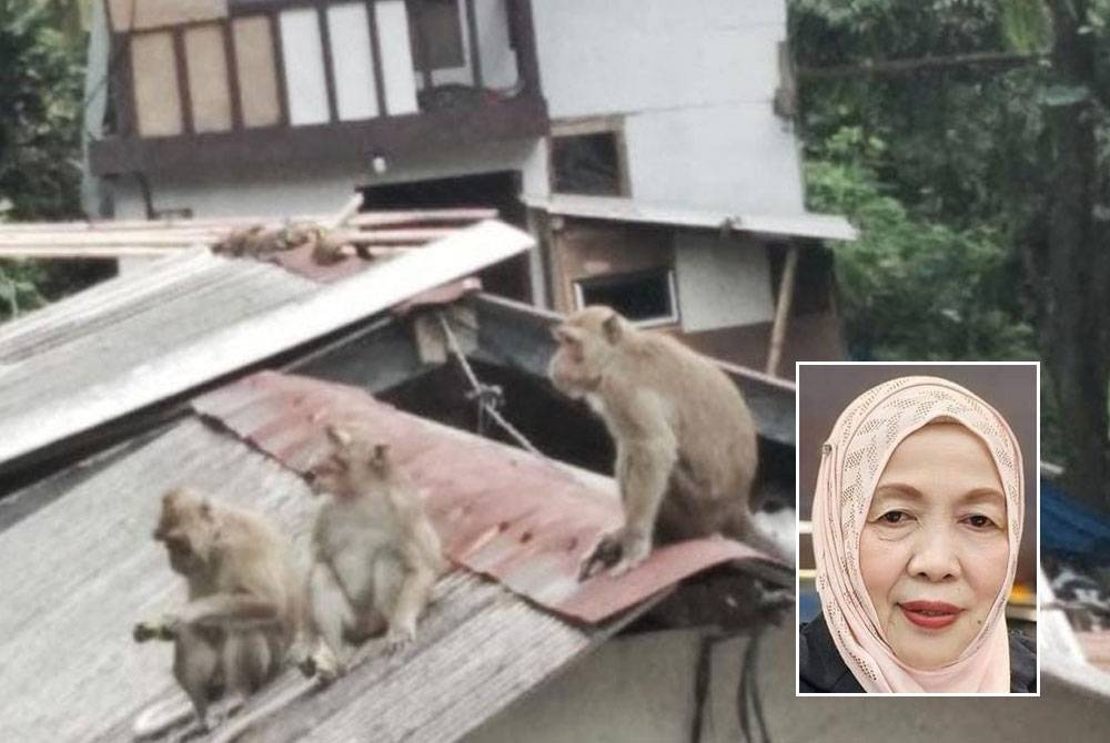 Gambar kecil: Datuk Siti Aminah Aching