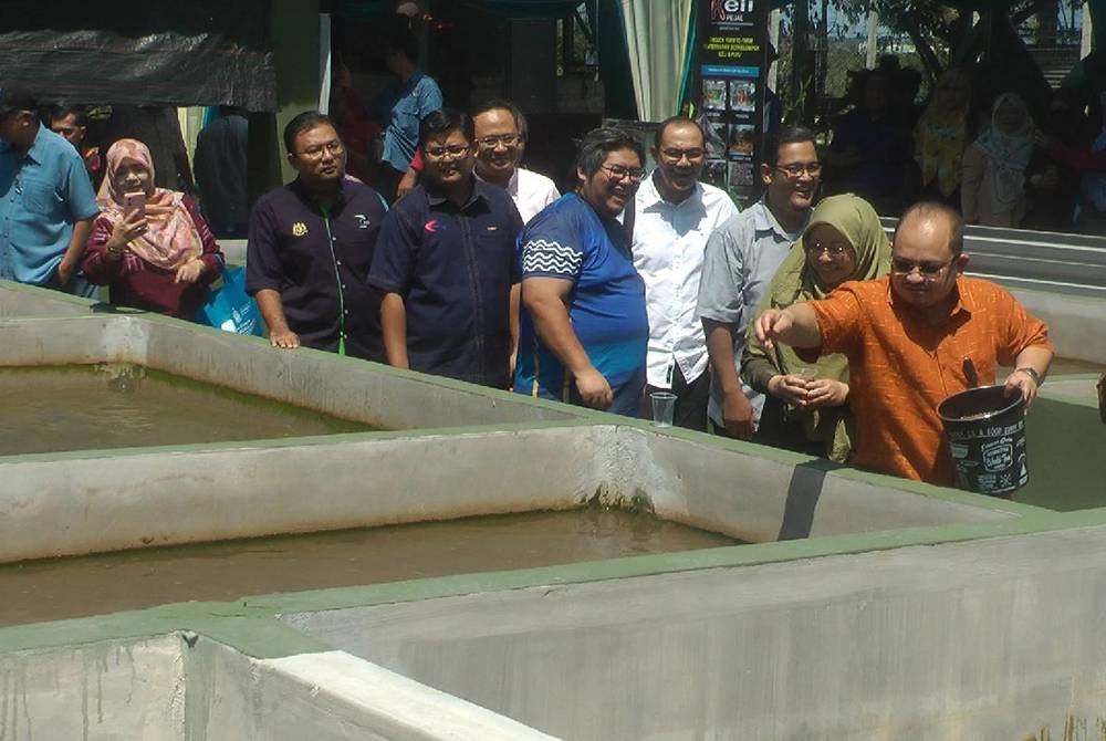 Shamsul Iskandar (dua dari kanan) melepaskan anak benih ikan projek komuniti farm to farm ternakan ikan keli lestari di Bukit Langkap, Penanti pada Sabtu.