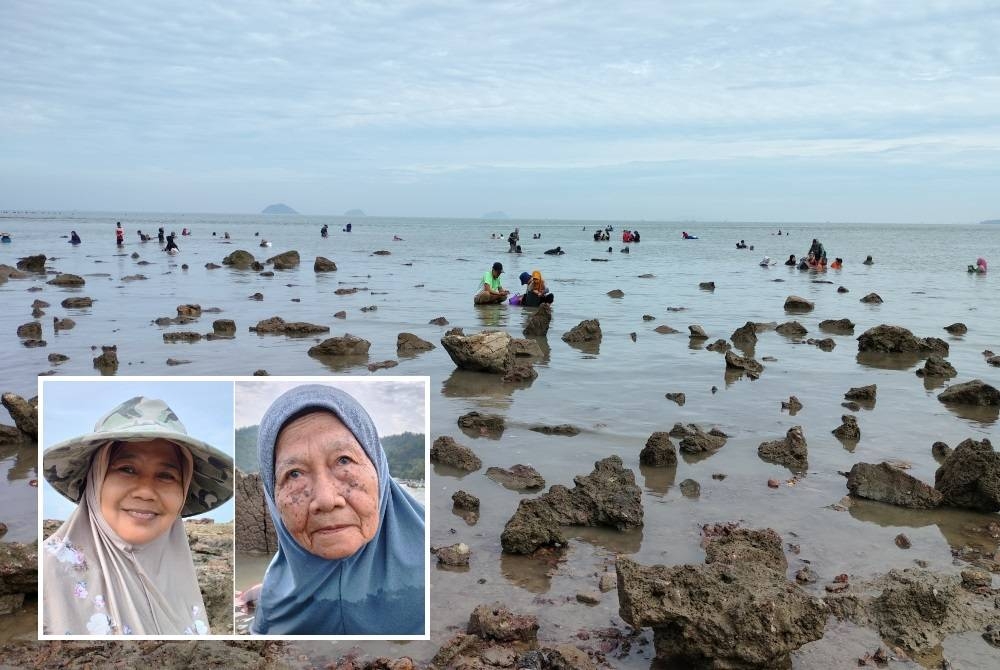 Pengunjung memenuhi pesisiran pantai Pulau Sayak kerana ingin merasai pengalaman mencari siput gayam yang mudah diperoleh semasa air surut. Gambar kecil: Suraya (kiri), Asma