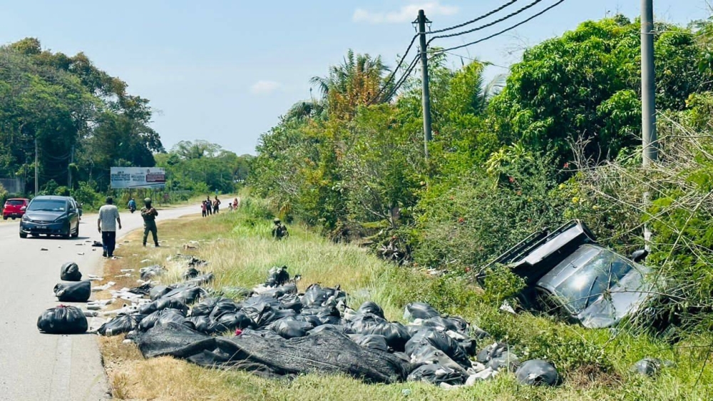 Daun ketum dipercayai dibawa suspek bertaburan selepas kenderaan dinaiki mereka hilang kawalan lalu terbabas di kawasan Durian Burung, di Padang Terap, pada Rabu. - Foto Ihsan Pembaca