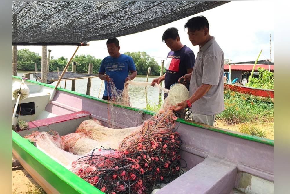 Zukiman (kiri), Noor Azlan (tengah) dan Iswadi (kanan) memeriksa pukat mereka di Kemayang, Bachok.