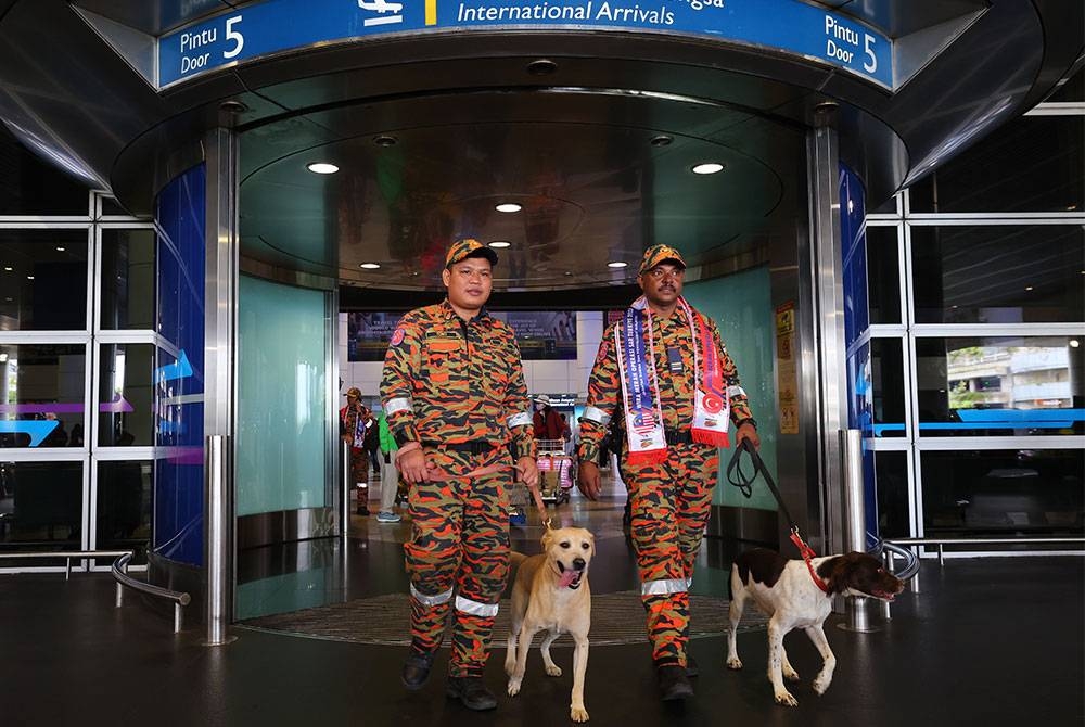 Dua ekor anjing pengesan (K9) JBPM, Denti dan Frankie tiba di KLIA pada Khamis selepas melaksanakan kSAR mangsa gempa bumi di Turkiye. - Foto: Bernama