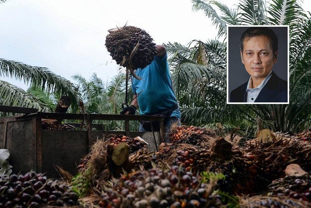 GEM mendesak kerajaan untuk mempertimbangkan keputusan penghapusan hutang peneroka Felda. (Gambar kecil: Armin Baniaz)