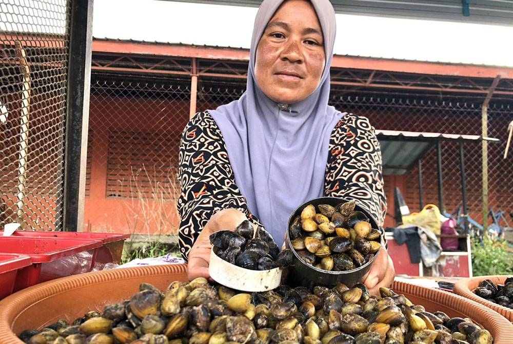 Norazila menunjukkan etak daripada sungai tempatan yang warnanya lebih cerah berbanding etak import.