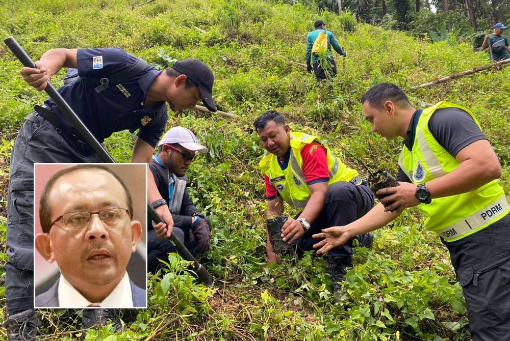 Aktiviti penanaman semula dilakukan di kawasan Hutan Simpan Bukit Tinggi yang diceroboh untuk aktiviti pertanian. Gambar kecil: Mohd Hizamri Mohd Yasin