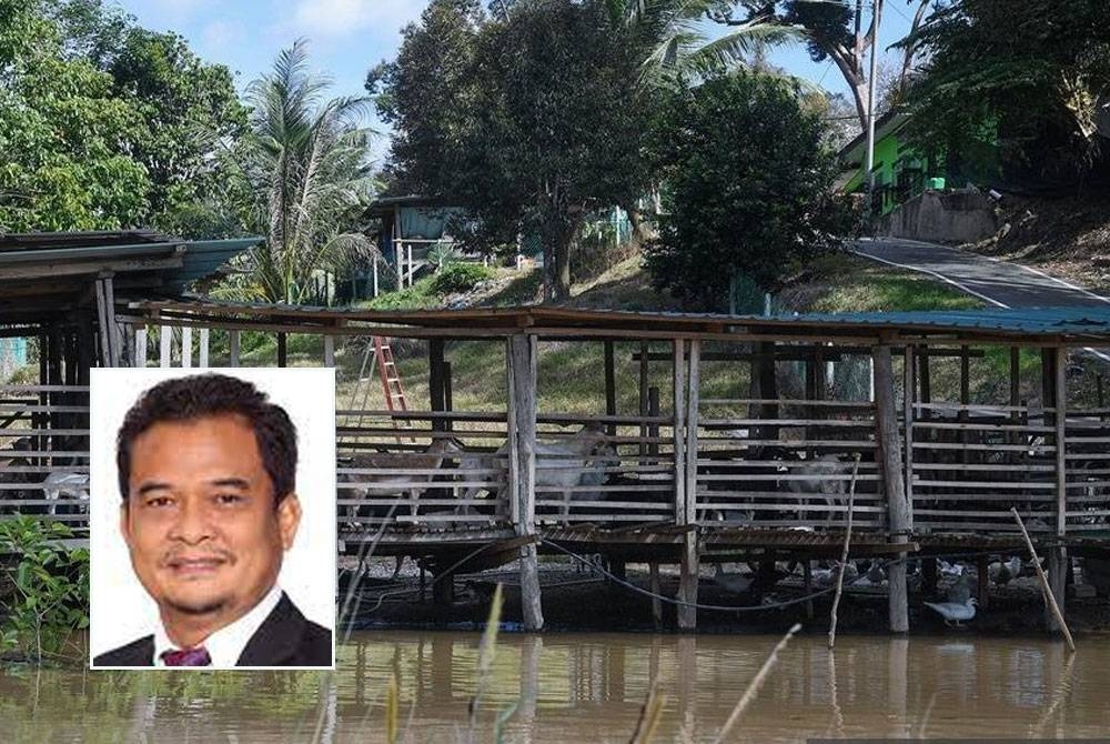 Petani dan penternak di negeri ini yang mengalami kerugian akibat banjir dinasihatkan agar membuat laporan kepada Jabatan Pertanian untuk bantuan ganti rugi. - Foto: Bernama, gambar kecil: Zahari