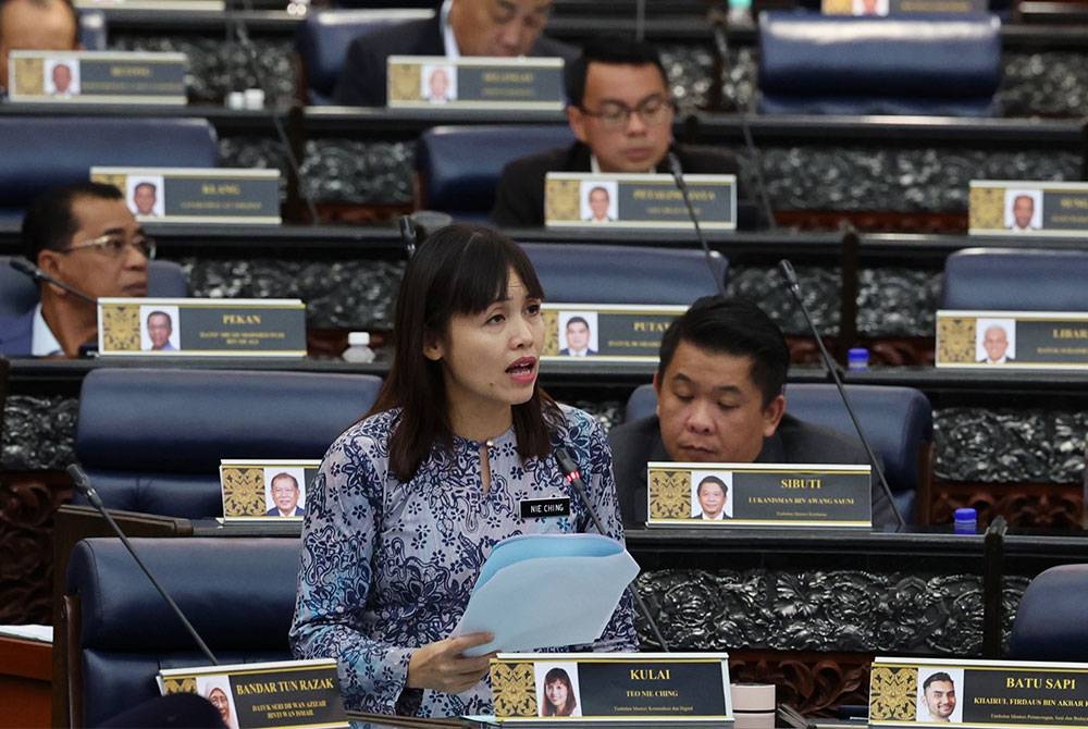 Nie Ching ketika sesi soal jawab di Dewan Rakyat pada Isnin. - Foto Bernama