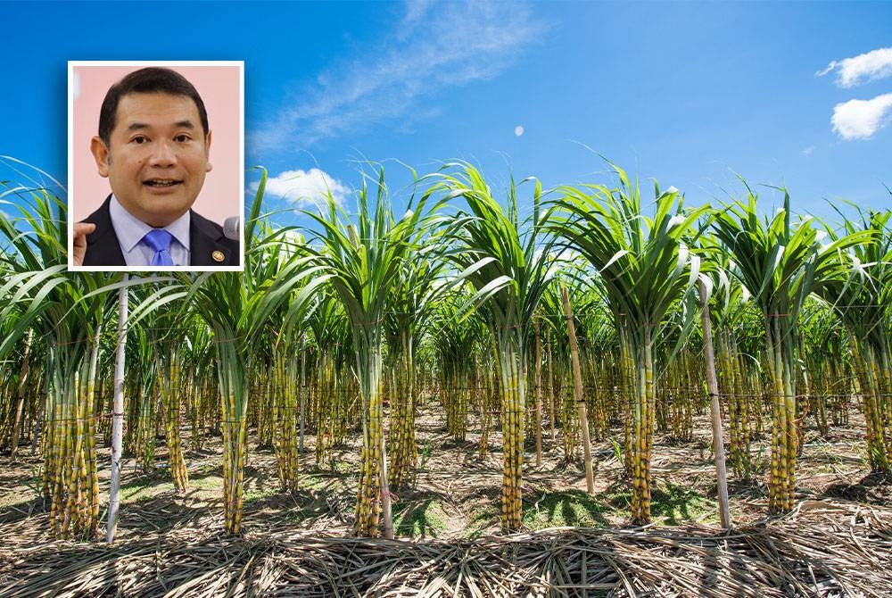 Malaysia bergantung sepenuhnya kepada import gula mentah dari Brazil selepas penutupan ladang tebu Chuping, Perlis pada 2012. - Gambar hiasan 123RF (Gambar kecil: Rafizi)