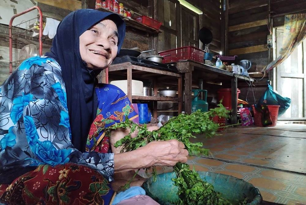 Semek memotong pucuk paku untuk dimasak ketika ditemui Sinar Harian di rumahnya di Perkampungan Sungai Isap pada Khamis.