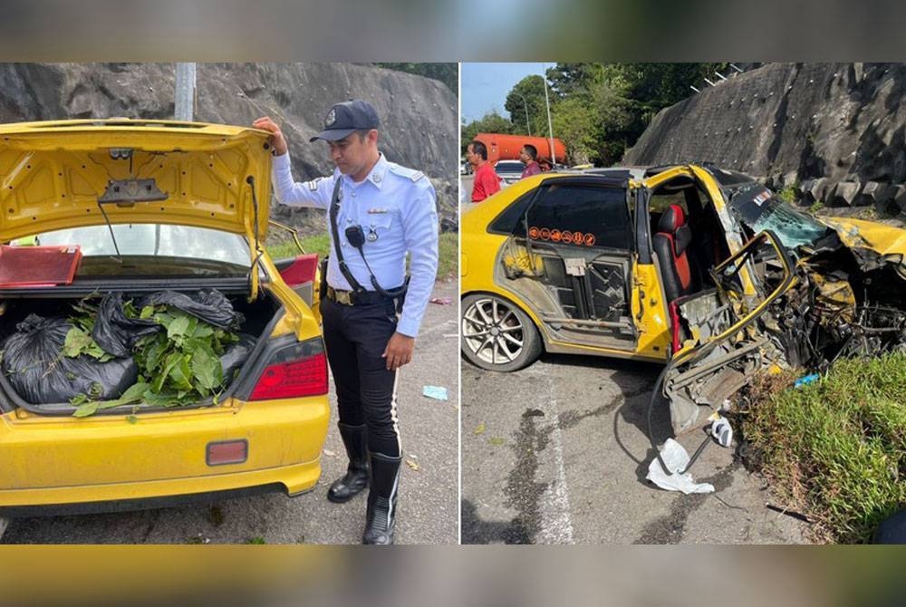 Bungkusan daun ketum ditemui dalam kereta Proton Waja yang terlibat kemalangan.