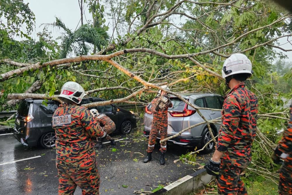 Dua kenderaan dihempap pokok tumbang dalam kejadian di Persiaran 1 berhampiran Masjid Taman Gombak pada Rabu.