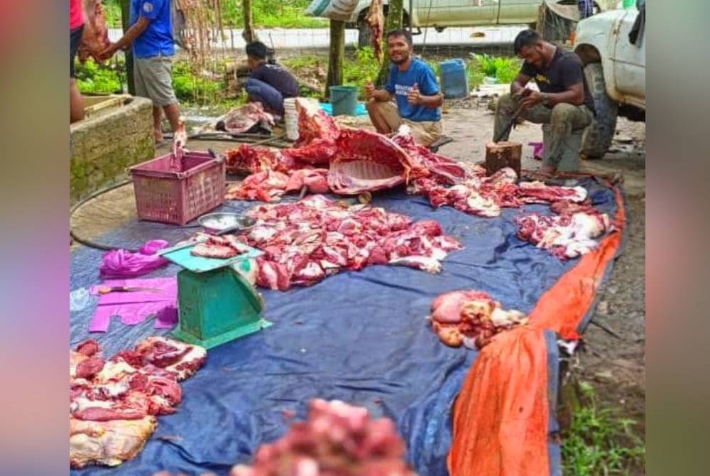 Raja Mohd Paris (dua, kanan) menumbangkan 10 ekor lembu ternakan dan menjual daging segar pada harga &#039;Rahmah&#039; iaitu RM25 sekilogram sempena menyambut hari pertama Ramadan.