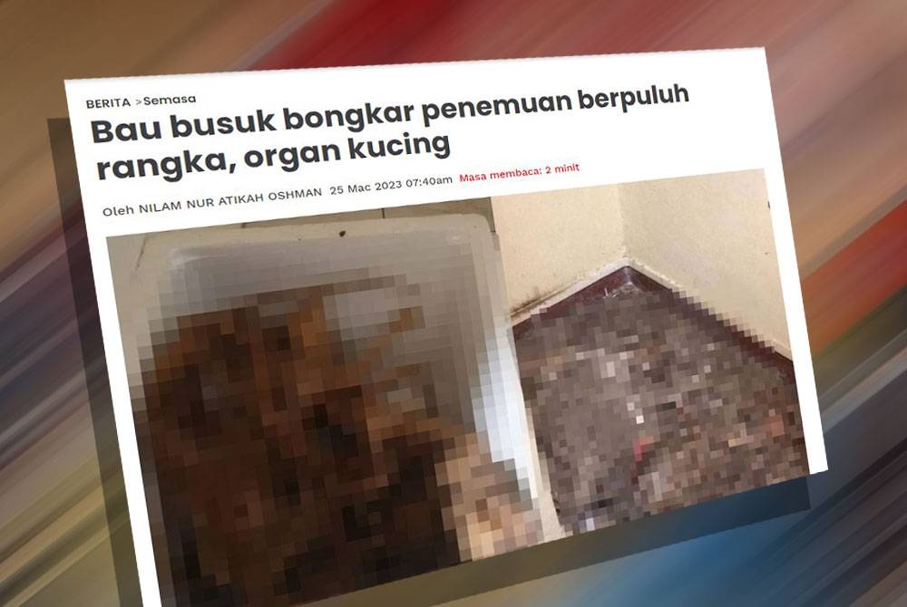 Peminat kucing digemparkan dengan penemuan puluhan rangka dan bangkai haiwan dipercayai si bulus di dalam sebuah unit kediaman kondominium di Bandar Permaisuri.