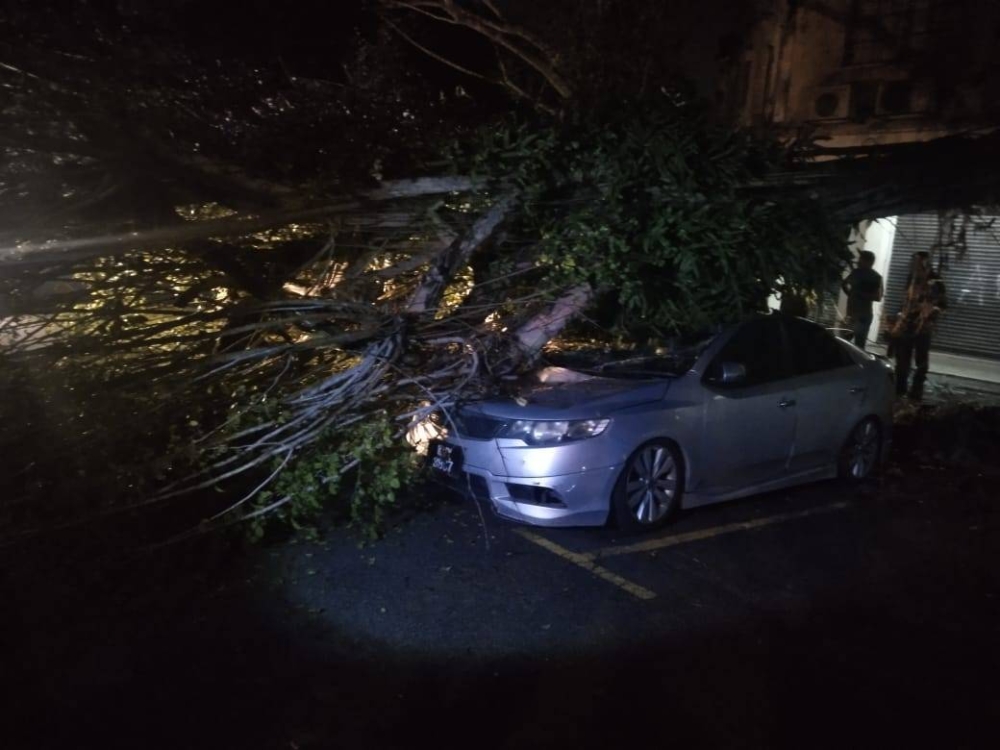 Sebuah kenderaan dihempap sebatang pokok dalam satu kejadian di Jalan Anggerik Mokara, Kota Kemuning, Selangor pada Selasa.