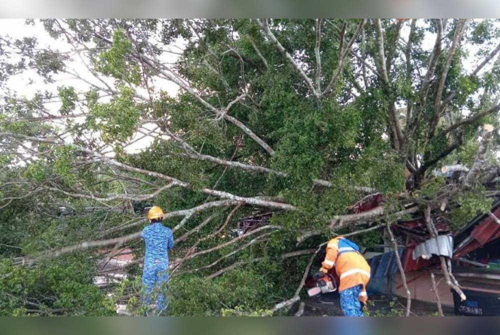 Anggota APM Daerah Sik bertungkus-lumus membersihkan pokok tumbang akibat dipukul ribu pada petang Rabu.