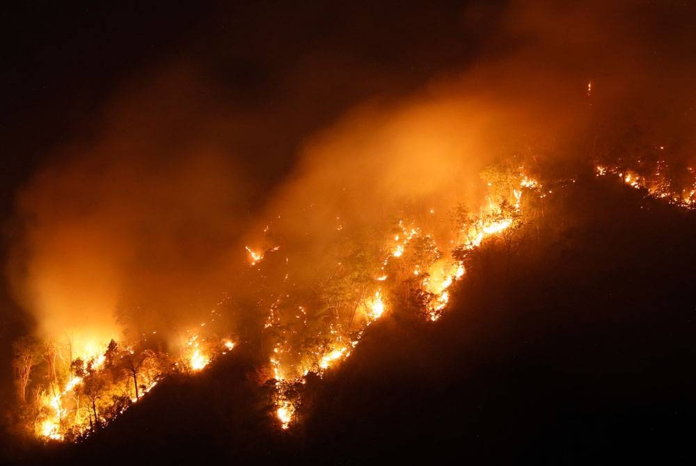 Api marak di kawasan hutan di wilayah Nakhon Nayok di timur laut Bangkok. - Foto: AFP