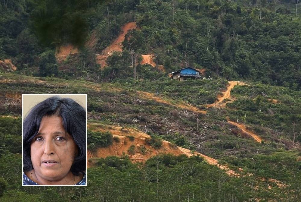 Kegiatan meneroka REE secara haram didakwa dikesan di Hutan Simpan Bukit Enggang, Sik. Gambar kecil: Meenakshi