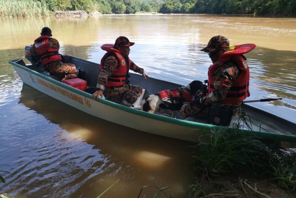 Operasi SAR mangsa yang hilang dilakukan oleh pasukan bomba di Sungai Penawan Kampung Sinsingon, Sapulut.