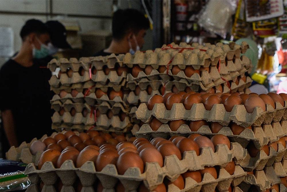 Bekalan telur ayam di seluruh Kelantan adalah stabil melalui pemeriksaan di peringkat runcit dan borong. - Foto hiasan/Bernama