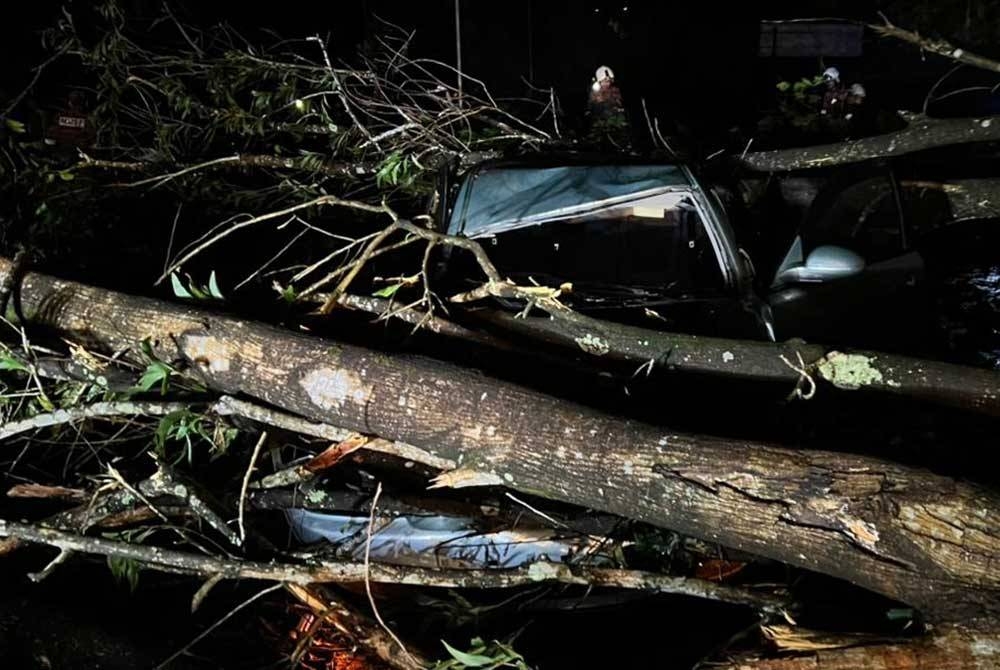 Keadaan kereta mangsa yang remuk selepas dihempap pokok tumbang dalam kejadian dekat Hospital Sultan Abdul Halim, Sungai Petani, Kedah.