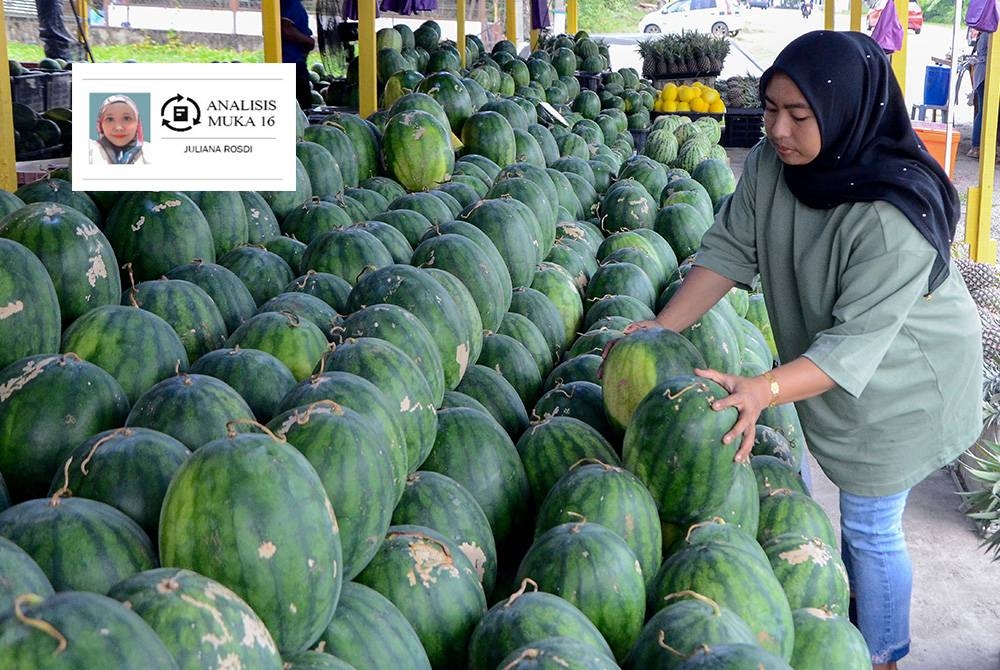 Peniaga tembikai pula tidak menang tangan melayan permintaan pelanggan sehingga mampu terjual lebih tujuh tan sehari. - Gambar hiasan