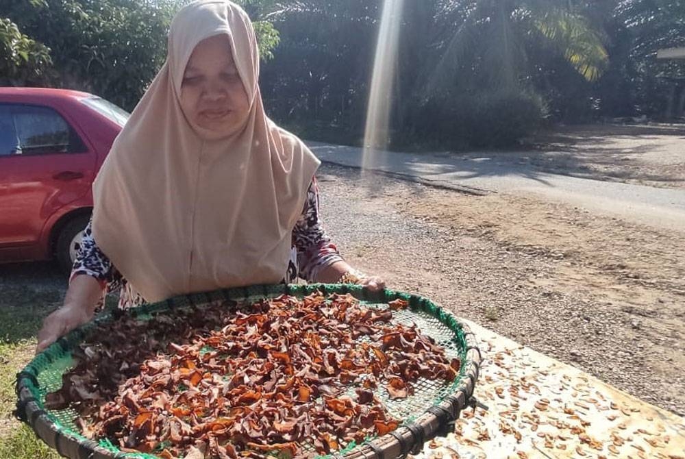 Jariah mengangkat asam keping yang telah siap dijemur di Kampung Bendang Raja, Kuala Nerang pada Selasa.