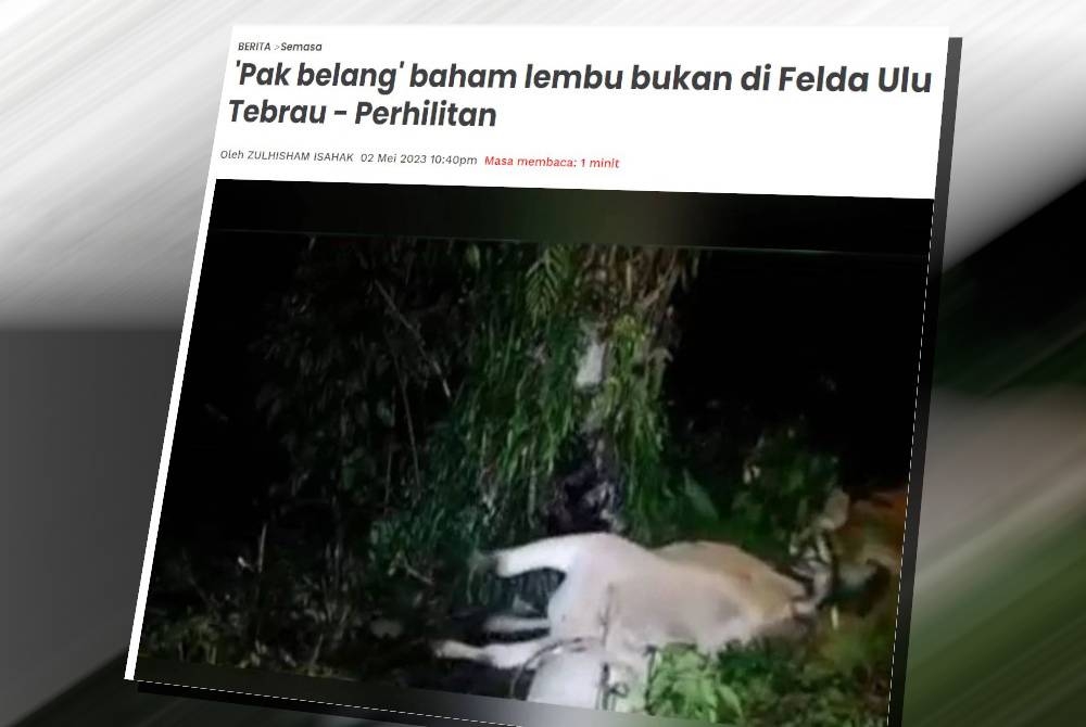 Perhilitan Johor menyifatkan perkongsian video itu boleh mengelirukan ramai dan perlu dipadam kerana ia tiada kaitan dengan kemunculan harimau di Felda Ulu Tebrau.