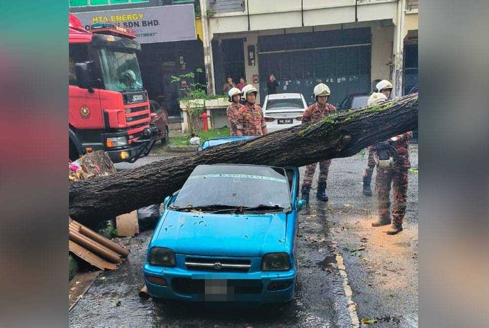 Salah sebuah kenderaan yang rosak akibat dihempap pokok tumbang di Equine Park pada Rabu.