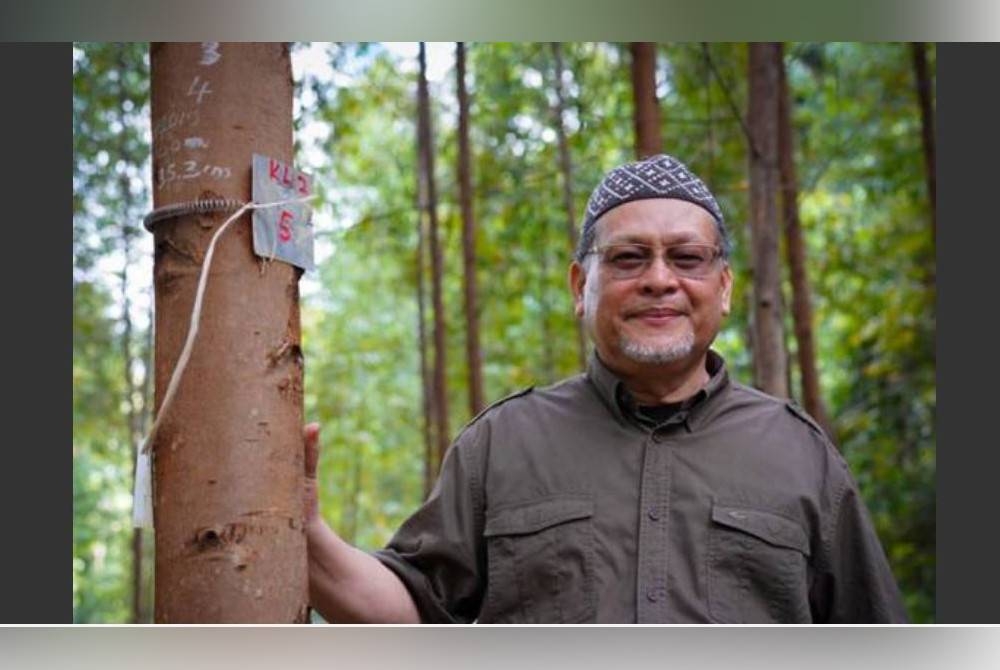 Mohd Amar bergambar dengan pokok eucalyptus di di Hutan Simpan Sungai Betis, Pos Brooke. - Foto Facebook Dato&#039; Nik Amar